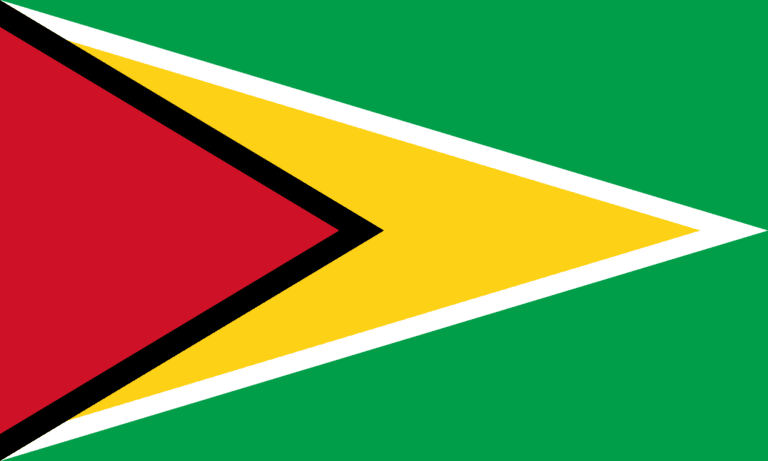 Guyana flag