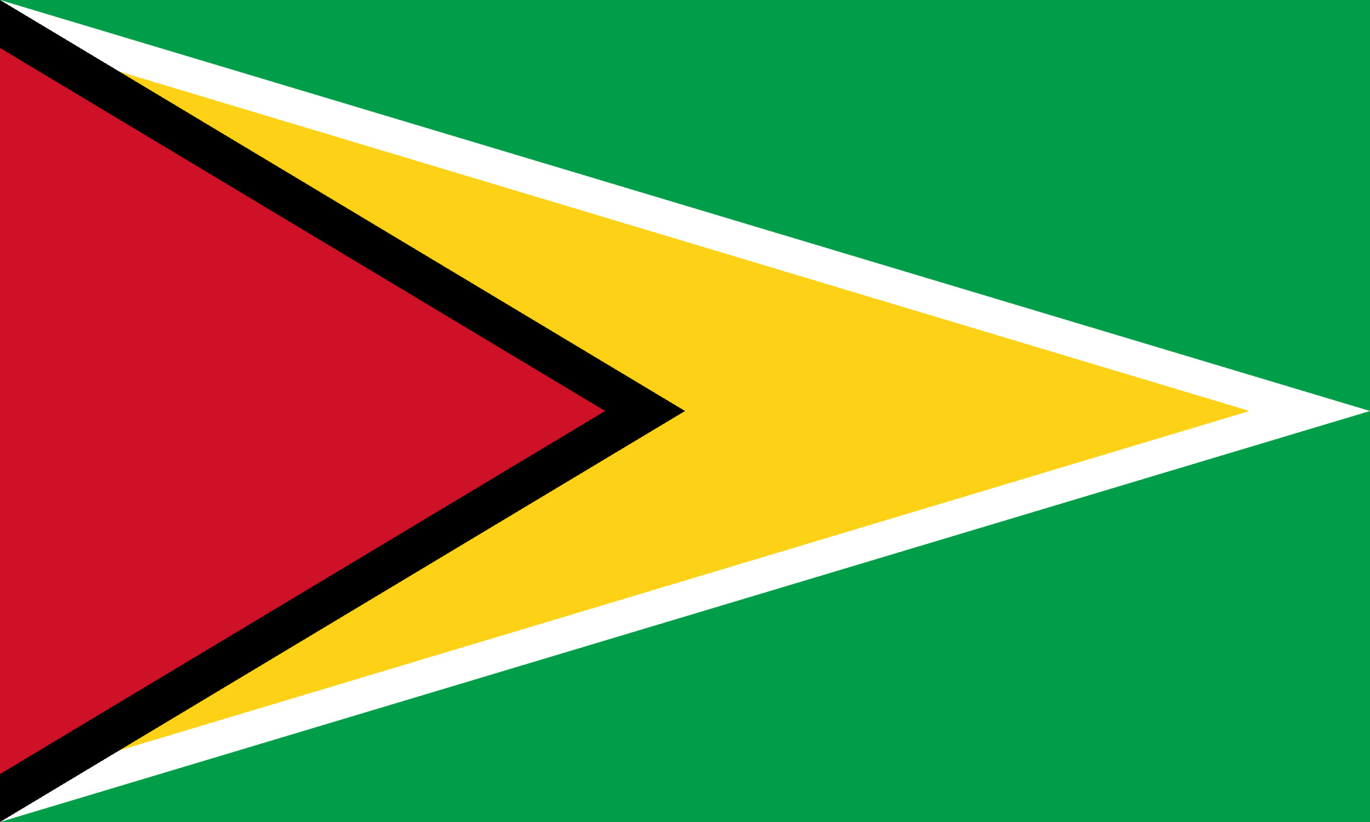 Guyana flag